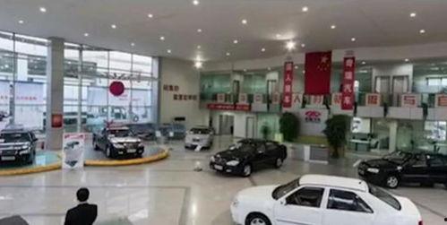 4s店视频,揭秘汽车销售全流程