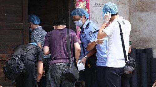 灭门惨案视频,惊心动魄的悲剧真相揭露