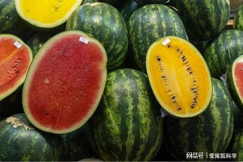 金华最新吃瓜事件爆料是真的吗