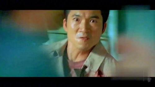 邹兆龙视频,揭秘动作巨星背后的故事与挑战