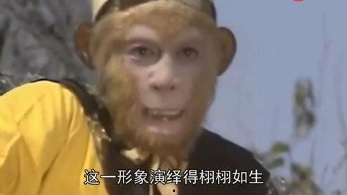 邹兆龙视频,揭秘动作巨星背后的故事与挑战